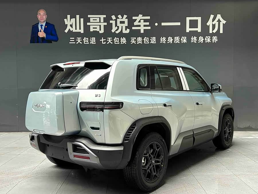 FangChengBao Tiger 3 2025 car image #20