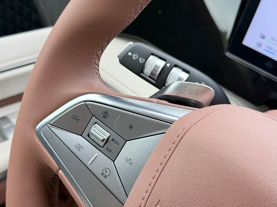 BYD Xia 2025 imagen de coche #20