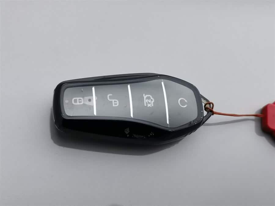 BYD Song Plus New Energy 2023 car image #20