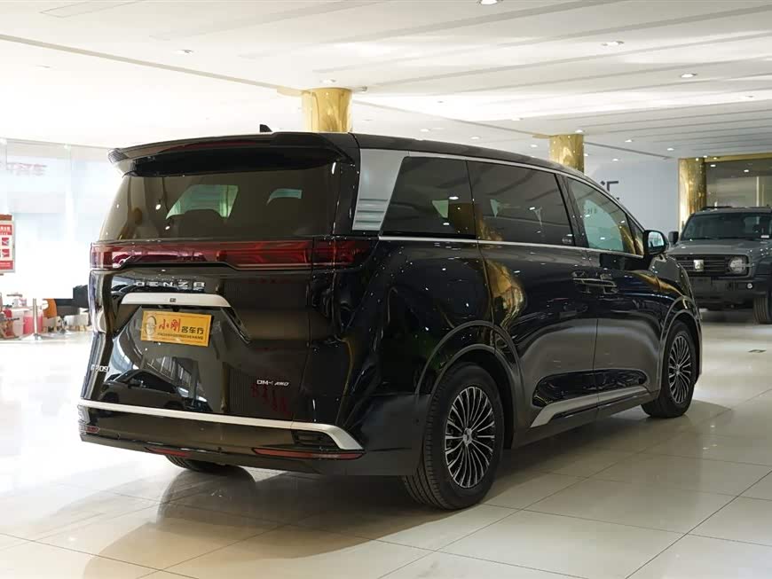 Denza D9 2024 imagem de carro #20