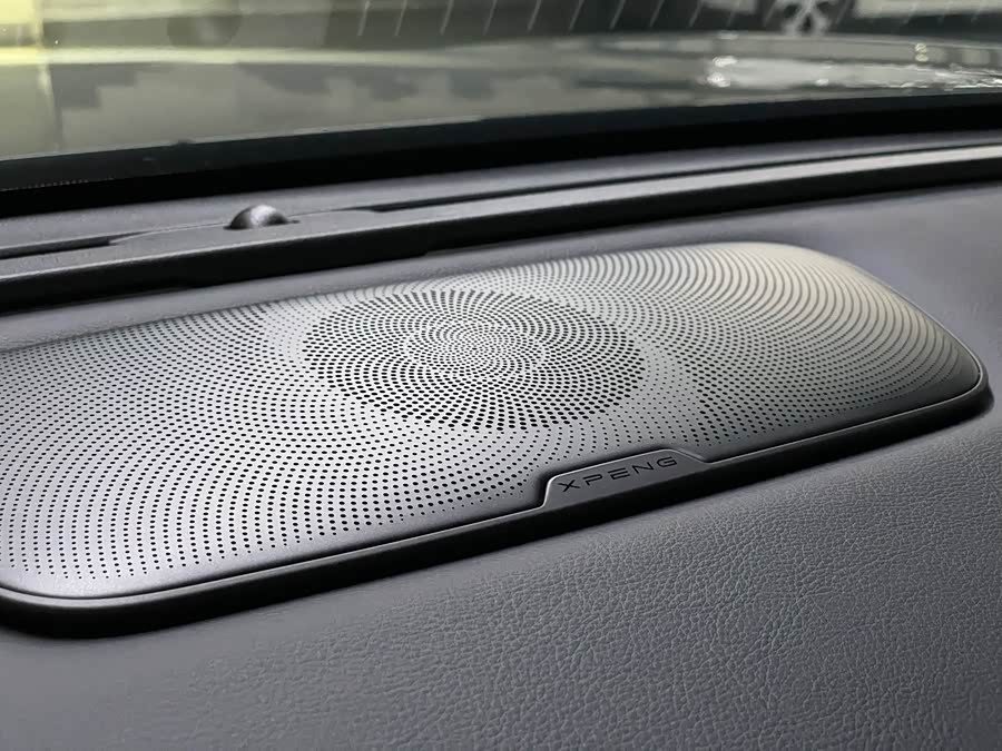 Xpeng G9 2024 car image #20