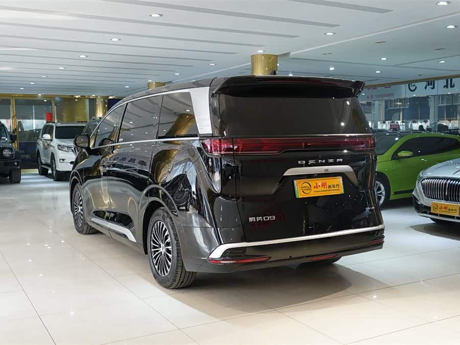 Denza D9 2025 imagen de coche #20