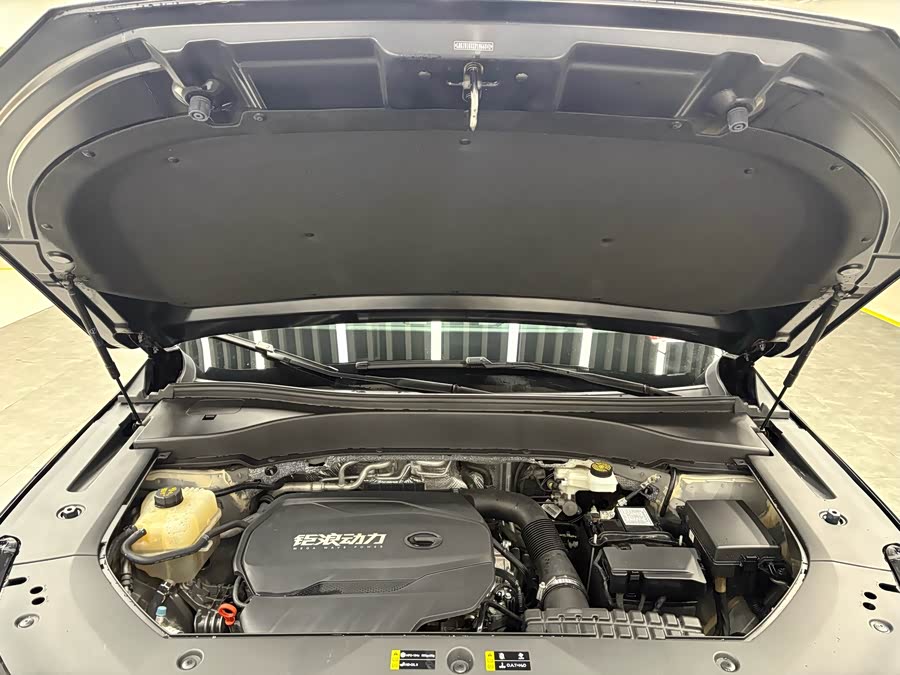 GAC Trumpchi GS8 2023 immagine di auto #20