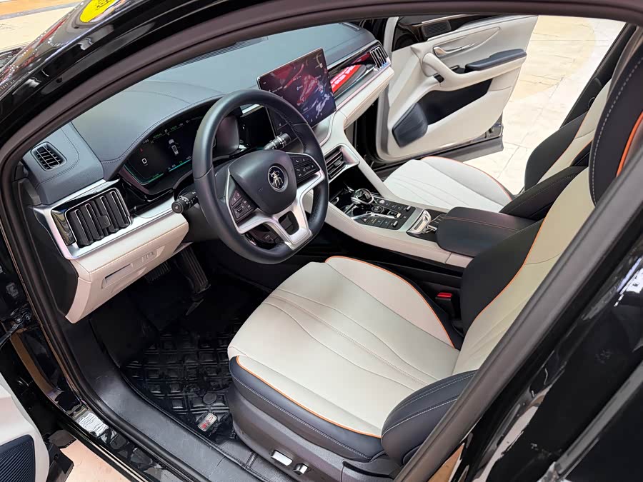 BYD Song Plus New Energy 2023 car image #20