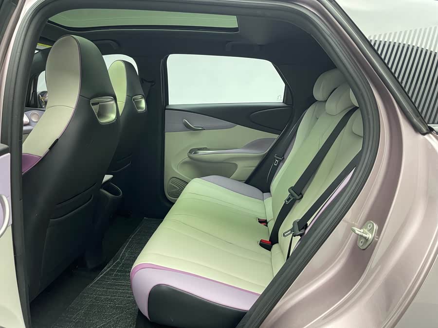 BYD Dolphin 2022 صورة سيارة #20