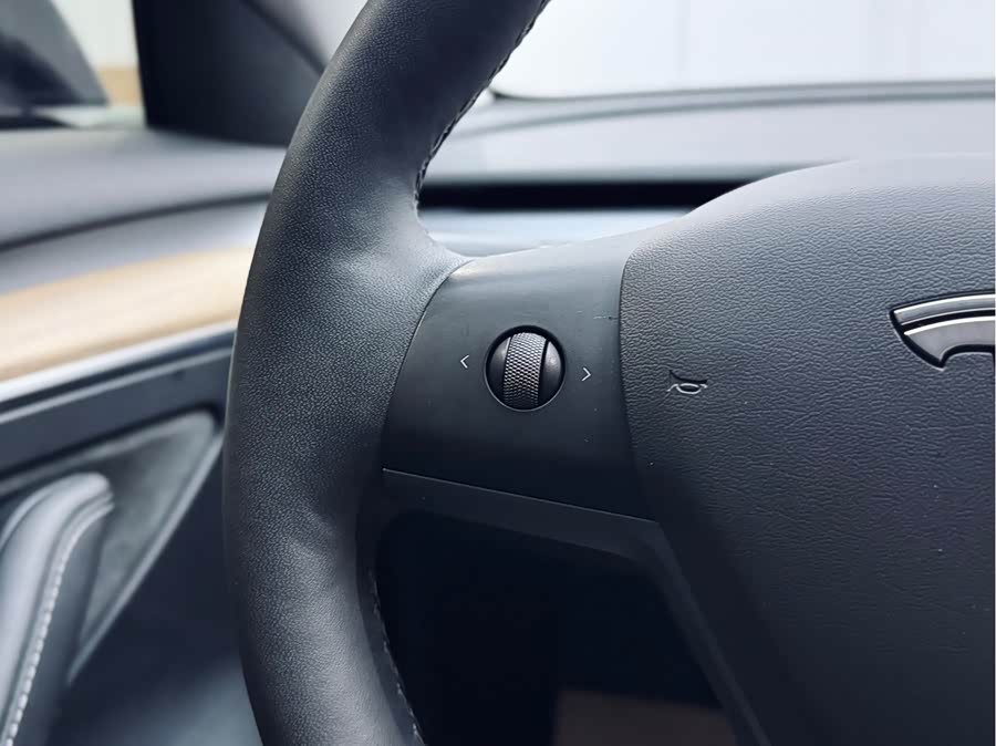 Tesla Model 3 2023 immagine di auto #20