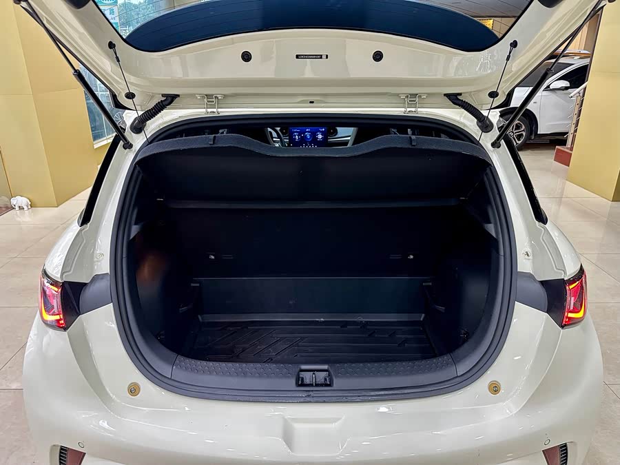 BYD Dolphin 2024 imagem de carro #20