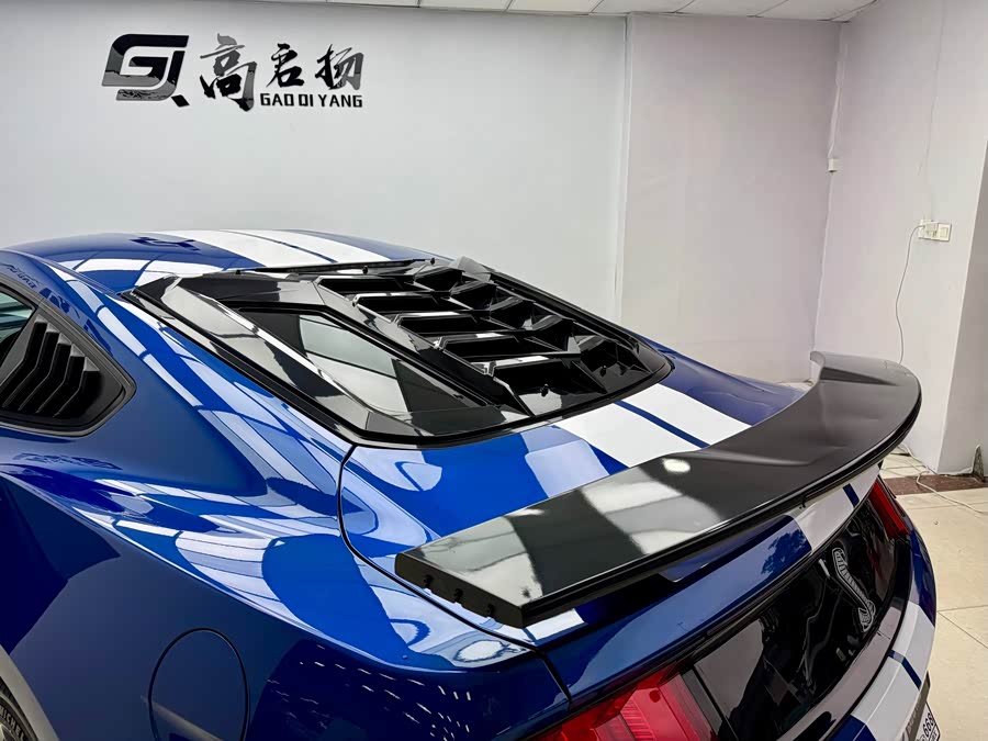 Ford Mustang 2019 car image #20