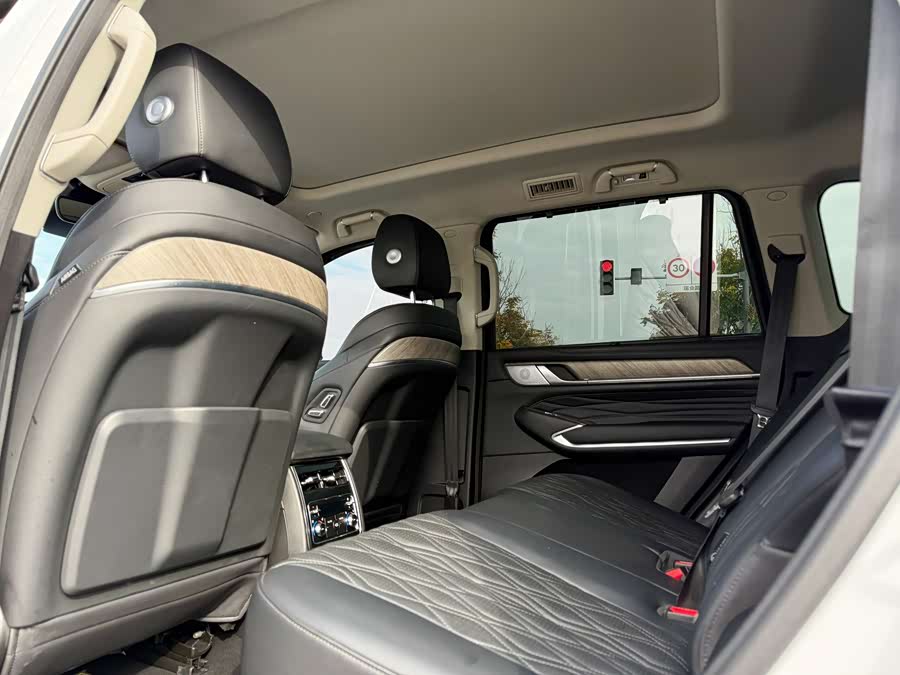 坦克 坦克500 2022 汽车图片 #20