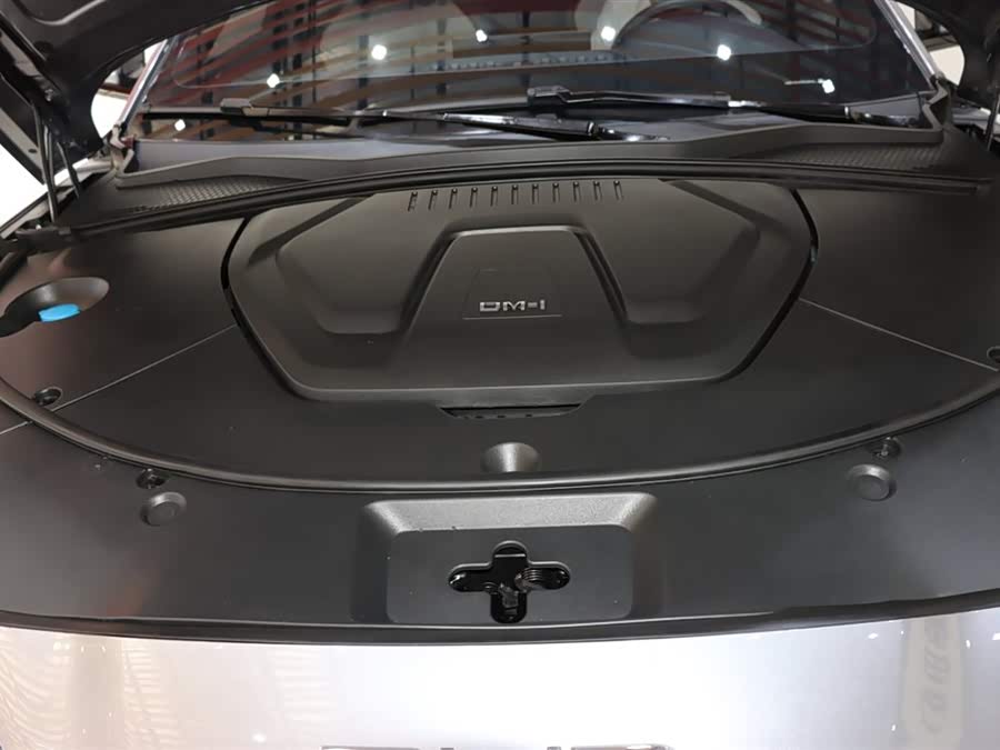 BYD Song Plus New Energy 2023 immagine di auto #20