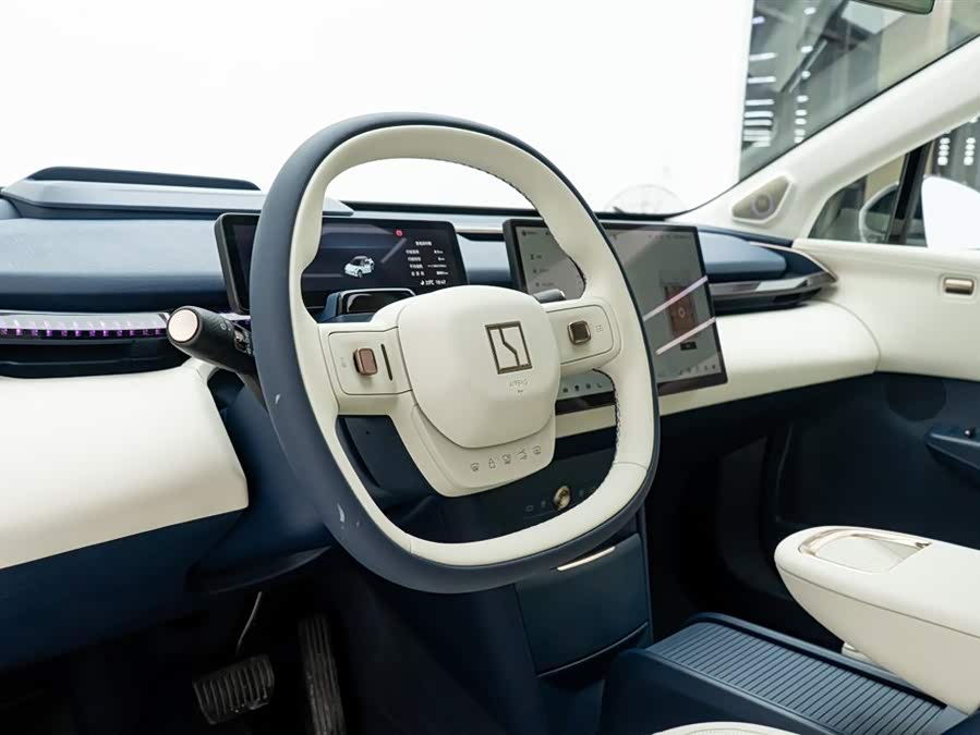 Zeekr X 2024 immagine di auto #20