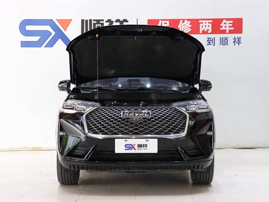 哈弗 哈弗H6 2022 汽车图片 #20