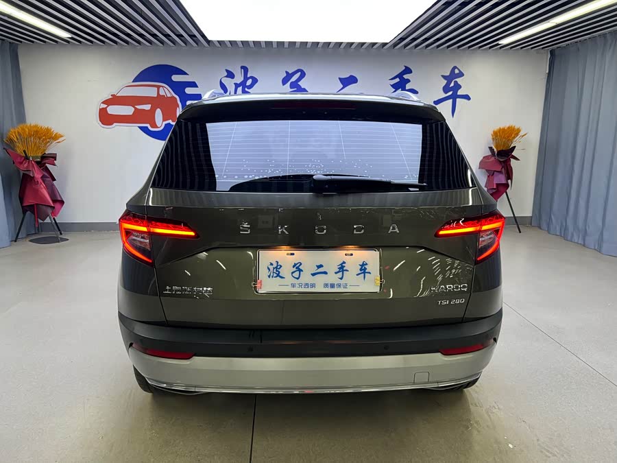 Skoda Karoq 2019 car image #20