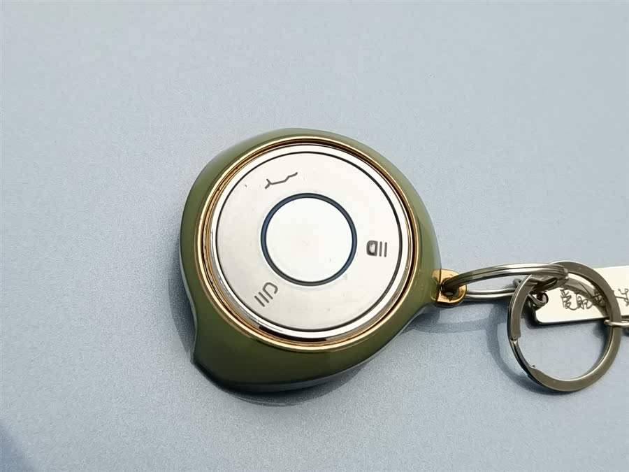 Neta V 2022 imagen de coche #20