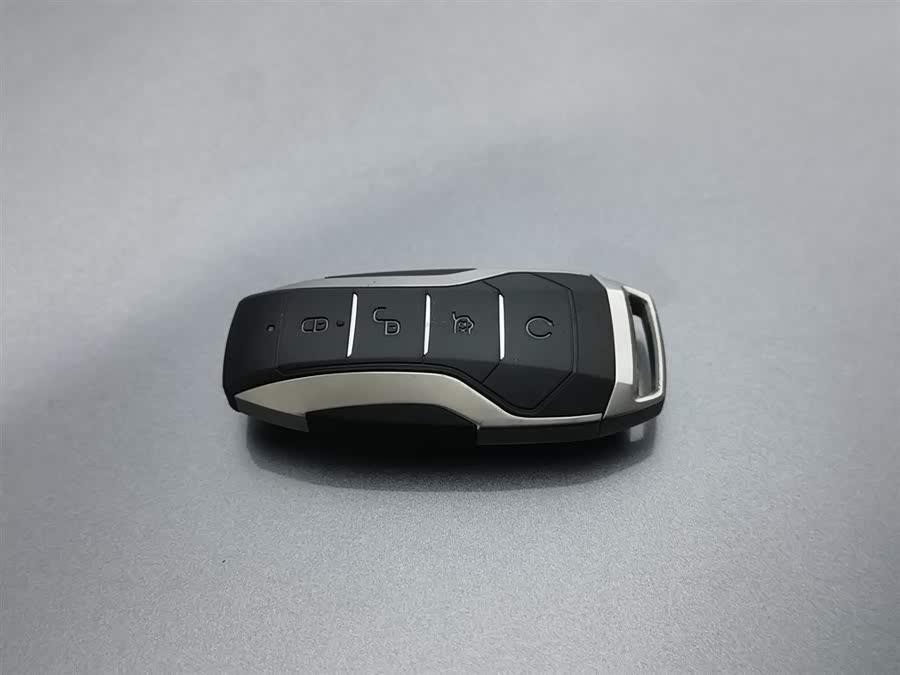 BYD Song Plus New Energy 2023 immagine di auto #20