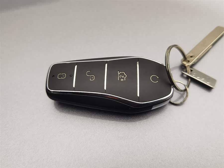 BYD Song Plus New Energy 2024 car image #20