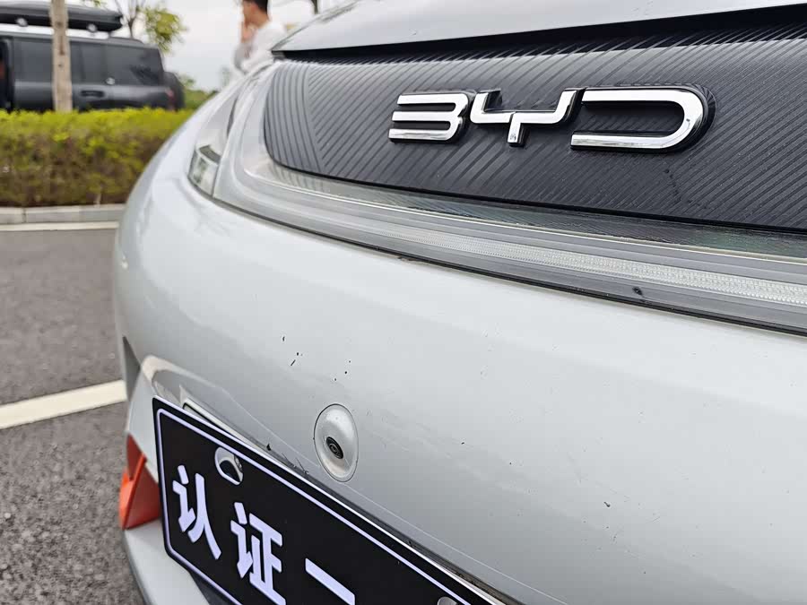 BYD Dolphin 2021 imagen de coche #20