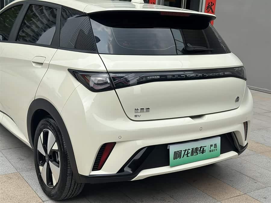 BYD Dolphin 2023 imagem de carro #20