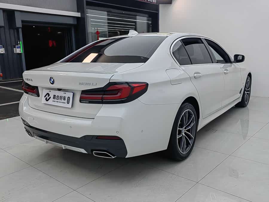 BMW 5 Series 2023 car image #20