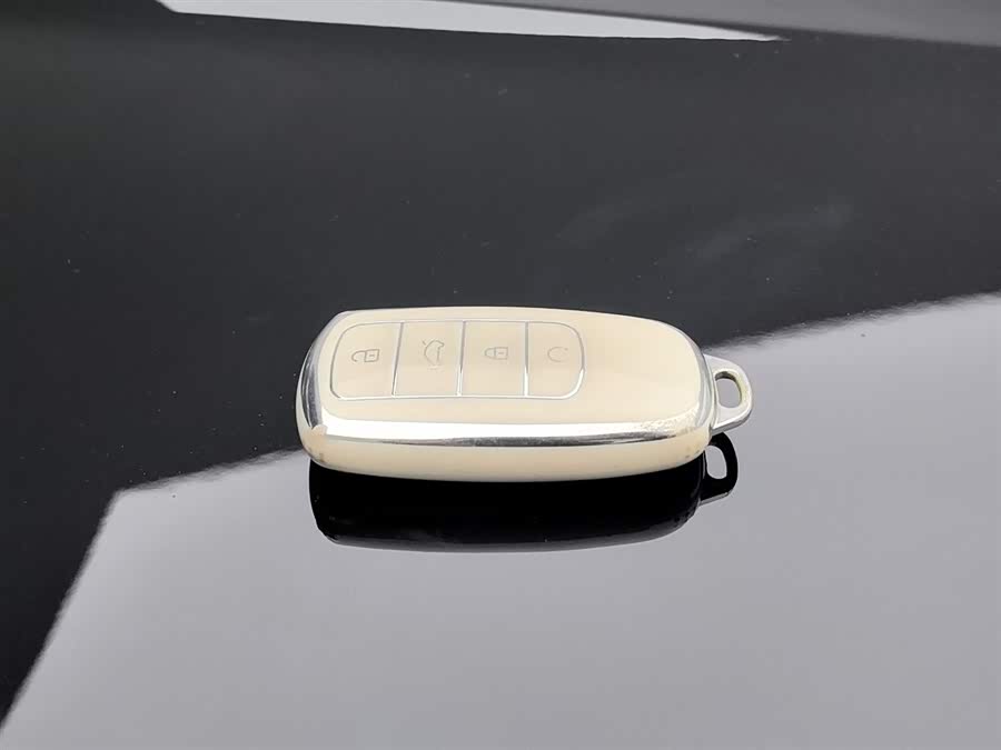 Chery Tiggo 9 2023 immagine di auto #20