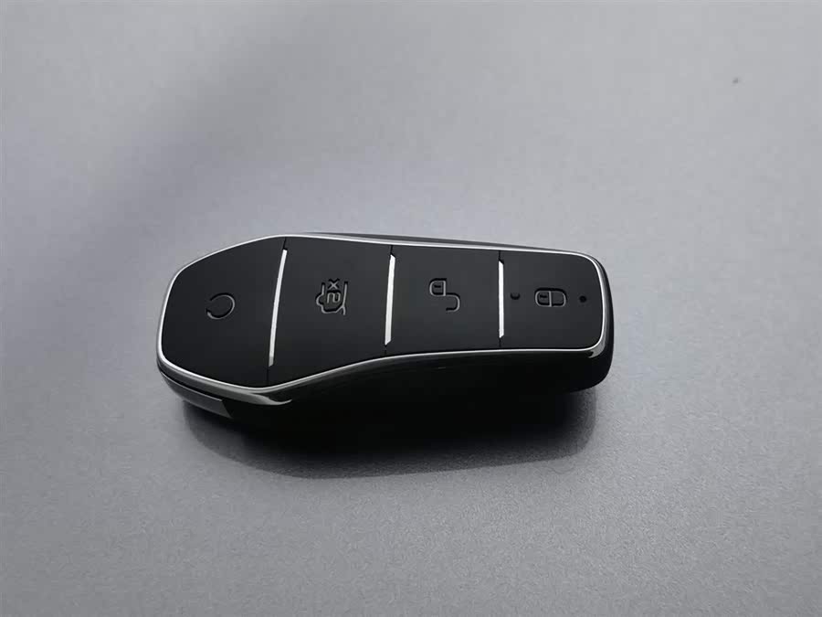 BYD Song Plus New Energy 2023 car image #20