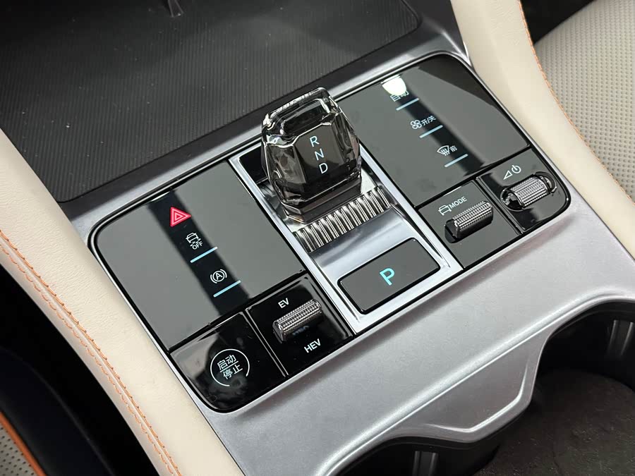 BYD Song Plus New Energy 2024 immagine di auto #20