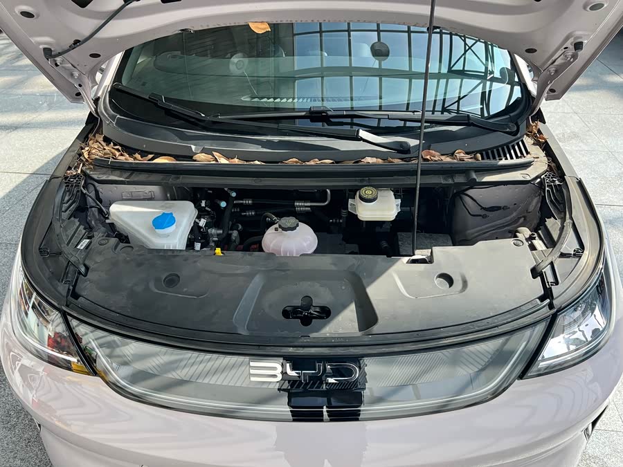 BYD Dolphin 2025 imagem de carro #20