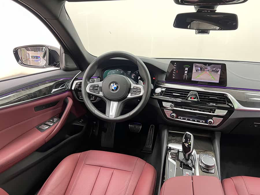 BMW 5 Series 2019 car image #20