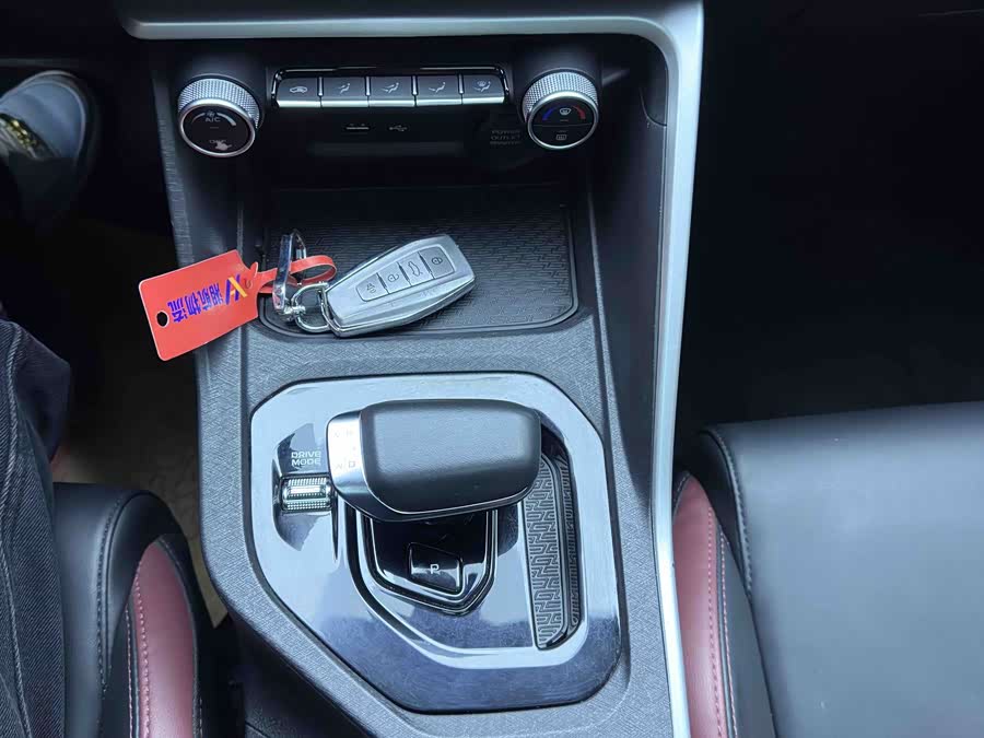 GEELY Coolray 2022 immagine di auto #20