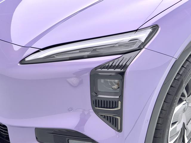 HongQi TianGong 08 2025 car image #20