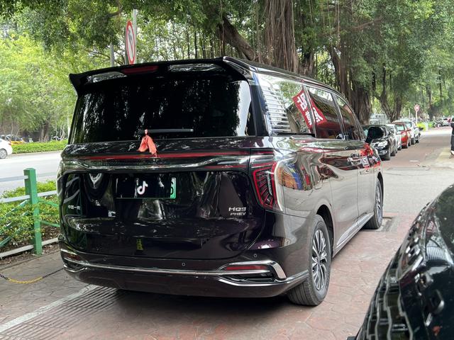 HongQi HQ9 PHEV 2024 #20 HongQi HQ9 PHEV 2024 car image #20