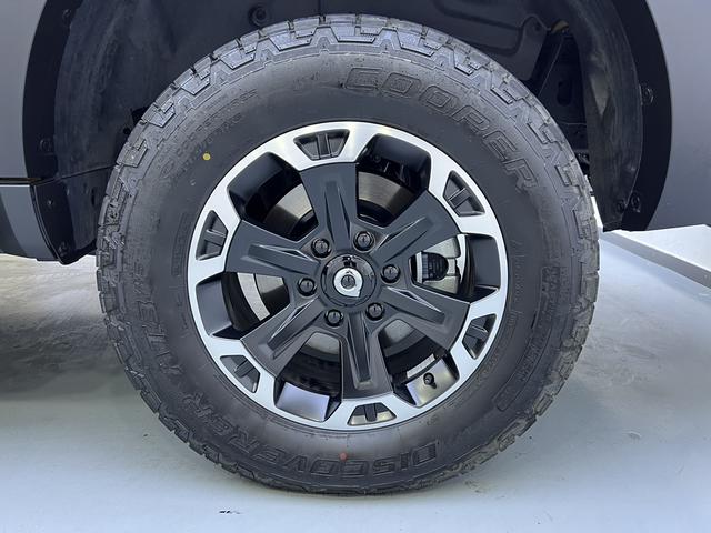 Great Wall Shanhai Pao Hi4-T 2025 car image #20