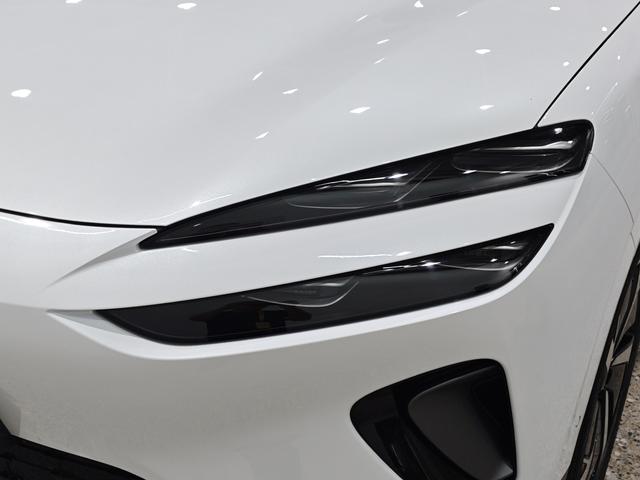 BYD Sea Lion 06 New Energy 2025 car image #20