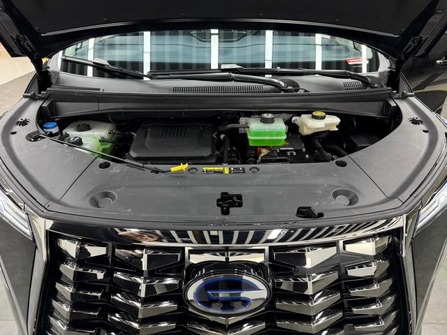 GAC Trumpchi Xiangwang M8 2025 car image #20