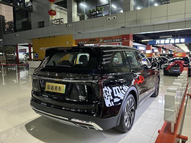 HongQi HS7 PHEV 2024 car image #20