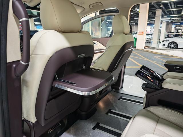 HongQi HQ9 2023 car image #20