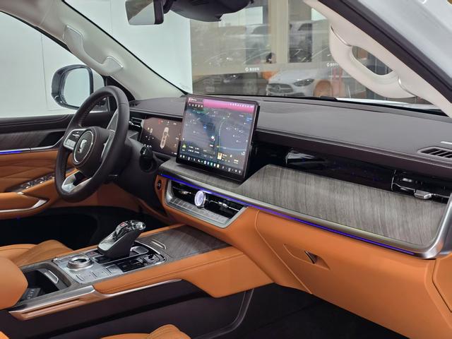 Tank 500 2024 car image #20