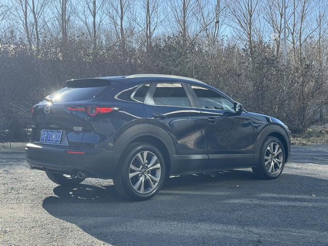 Mazda CX-3 2022 car image #20