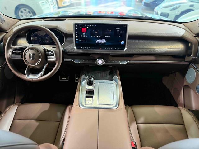 Tank 700 New Energy 2024 immagine di auto #20