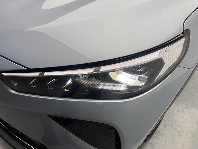 Neta L 2025 imagen de coche #20