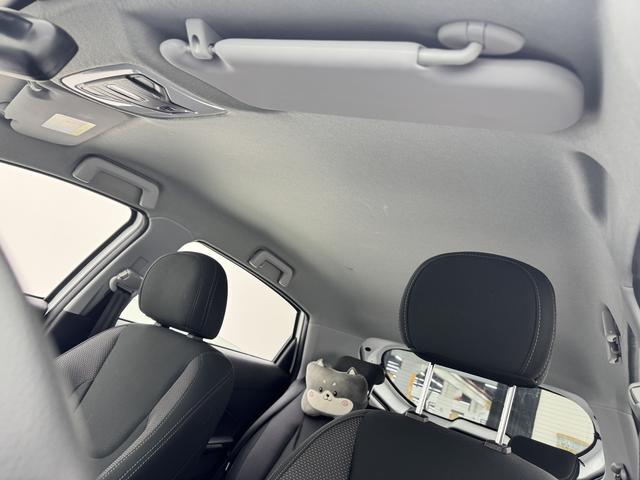 Chery Tiggo 3x 2024 immagine di auto #20