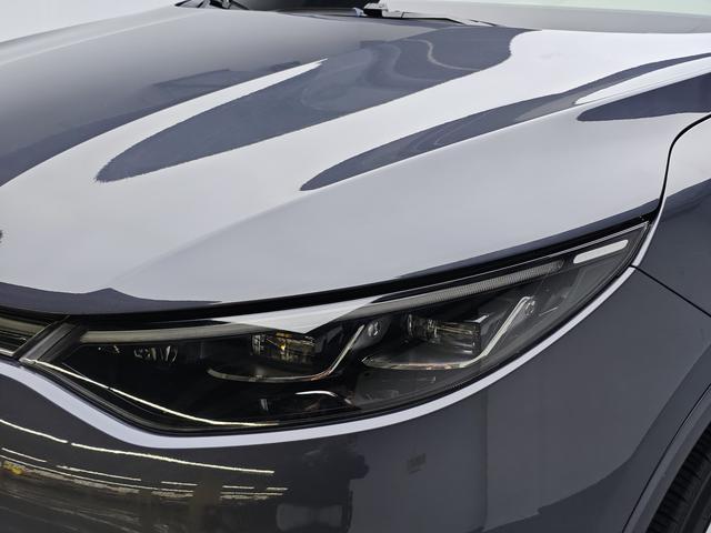 Denza 2021 imagem de carro #20