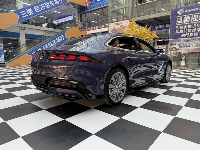 Denza 2024 imagem de carro #20