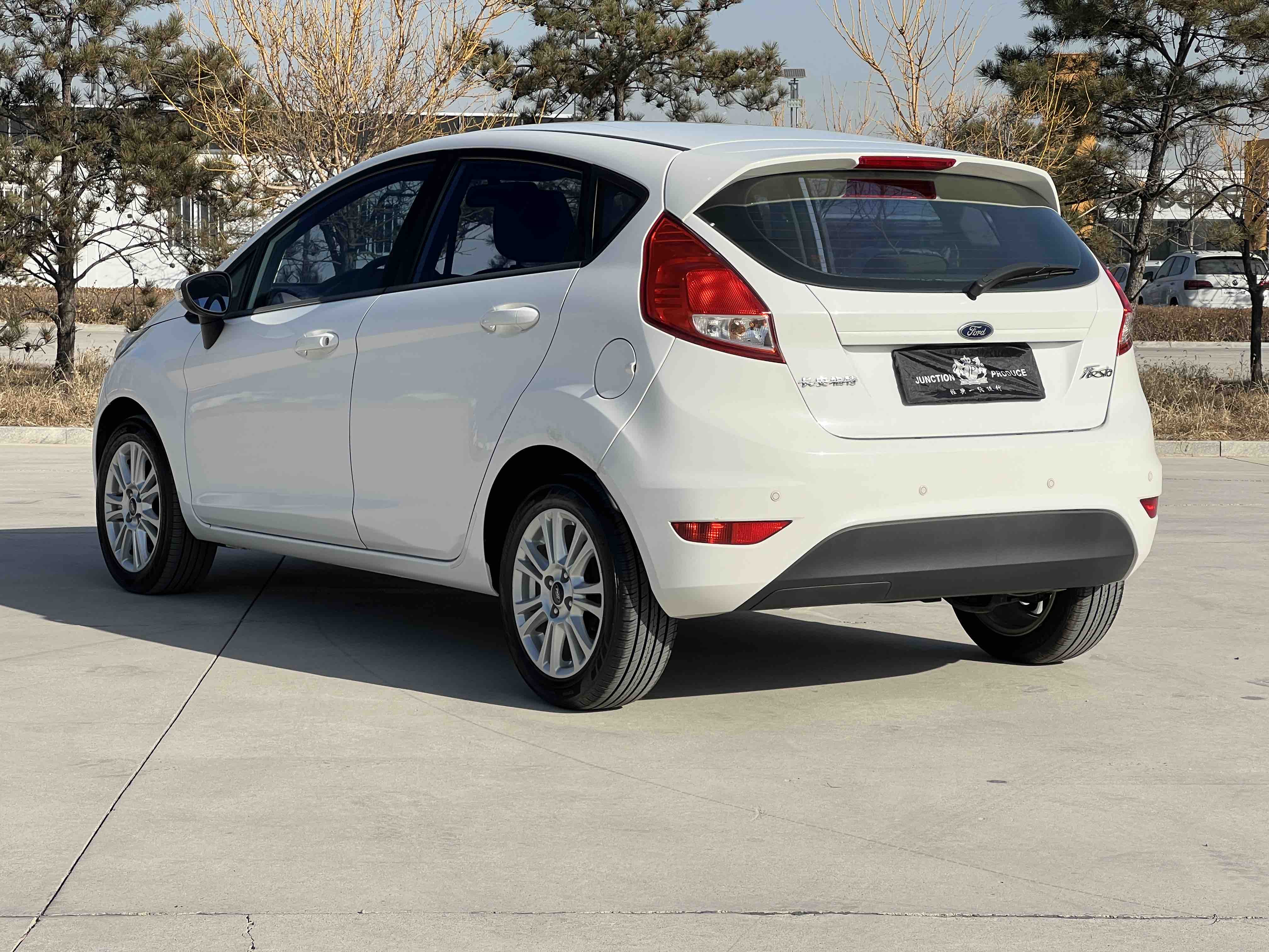 Ford Fiesta 2016 car image #20