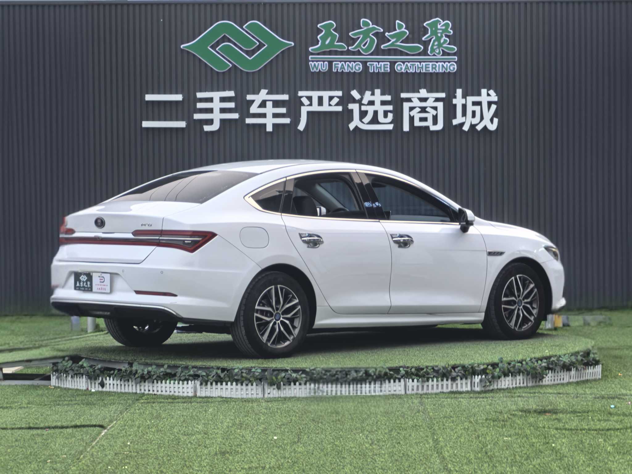 BYD Qin Pro New Energy 2019 car image #20