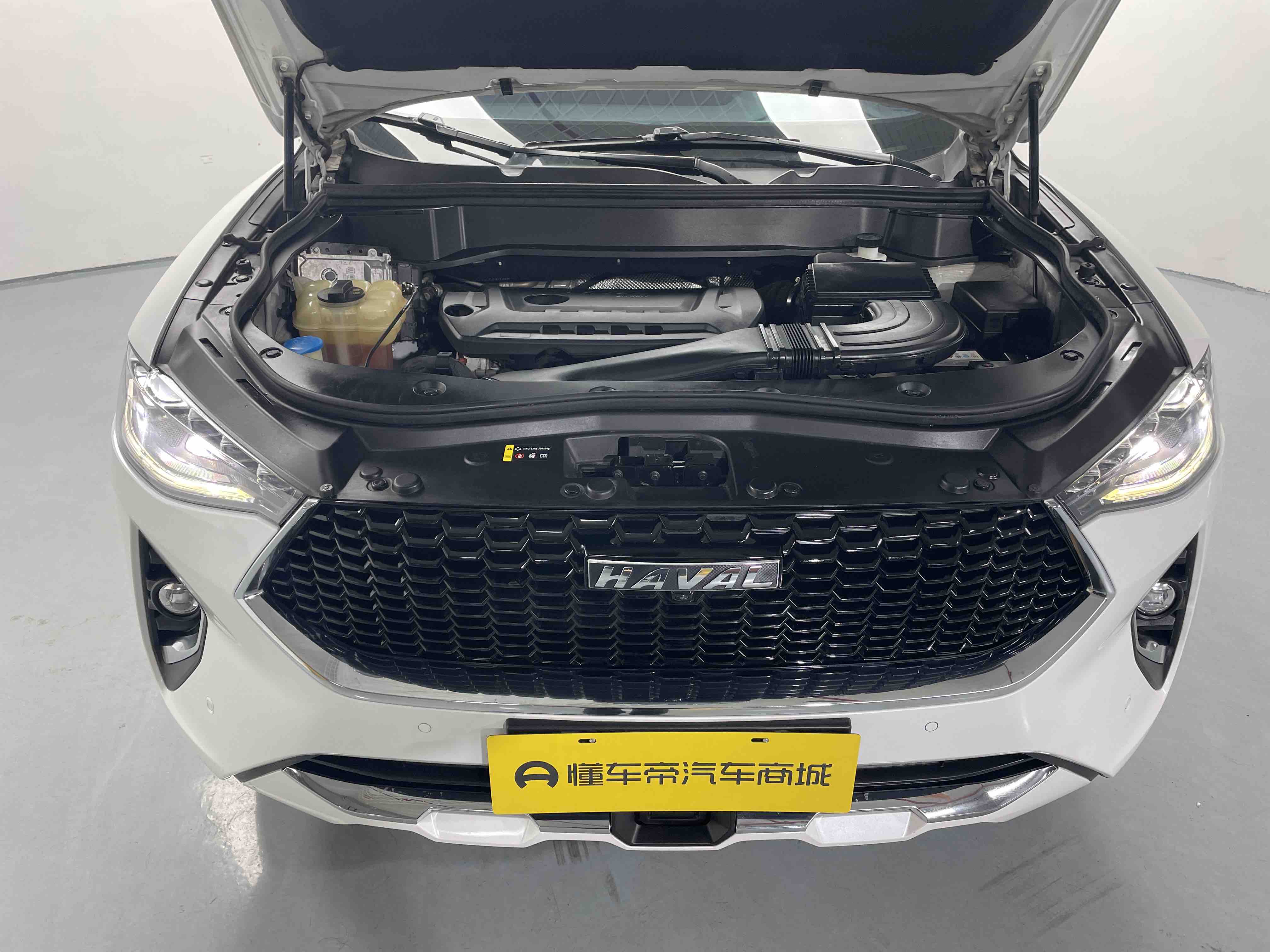 Haval F7 2019 car image #20