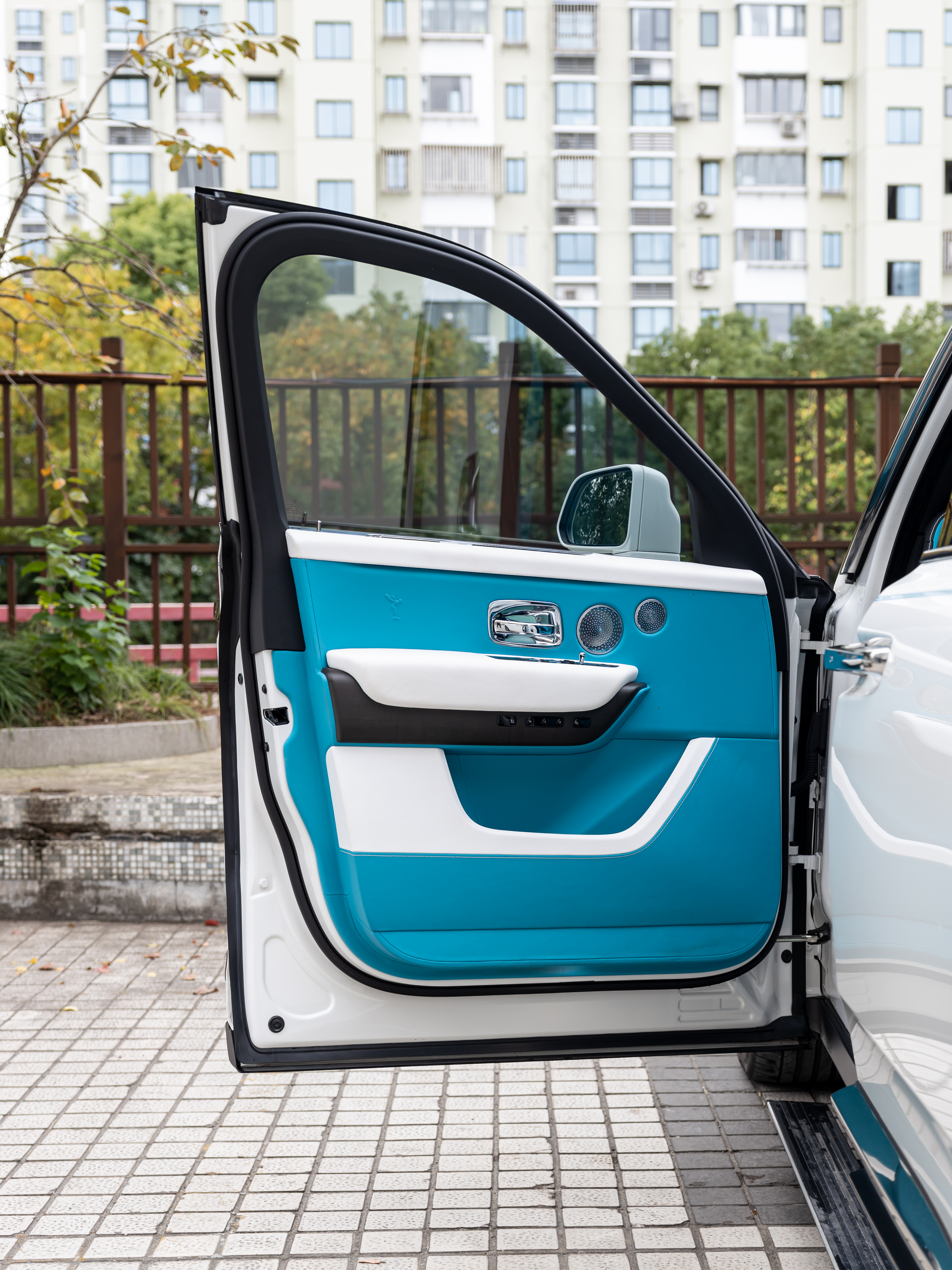 Rolls-Royce Cullinan 2021 immagine di auto #20