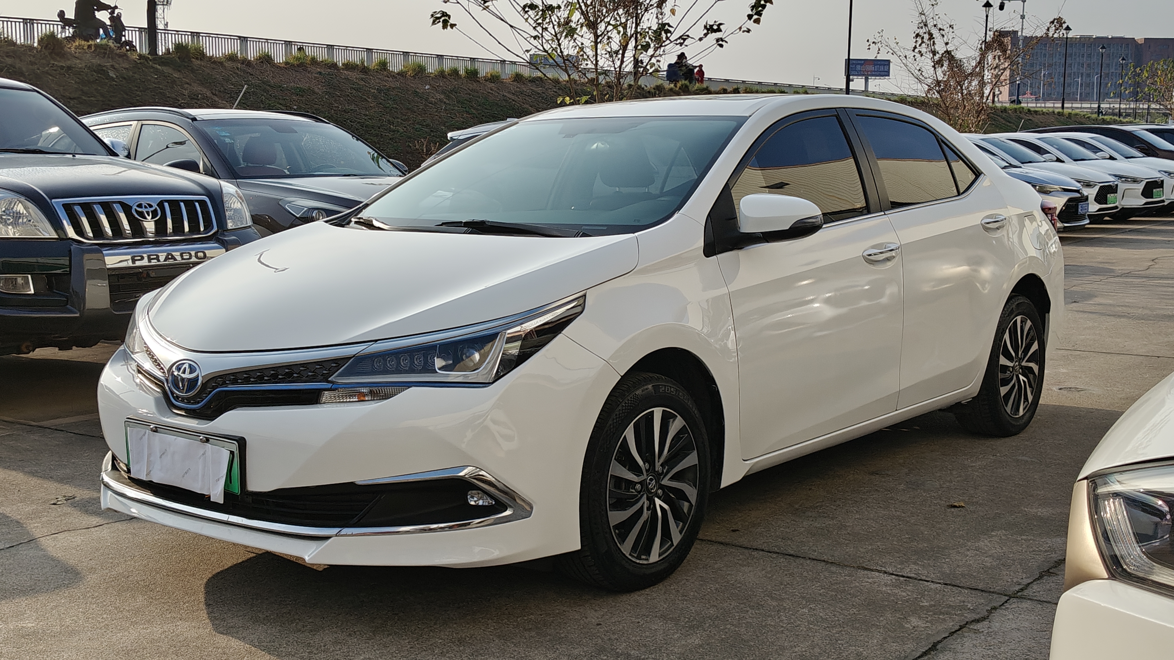 Toyota Corolla Hybird E+ 2020 immagine di auto #20