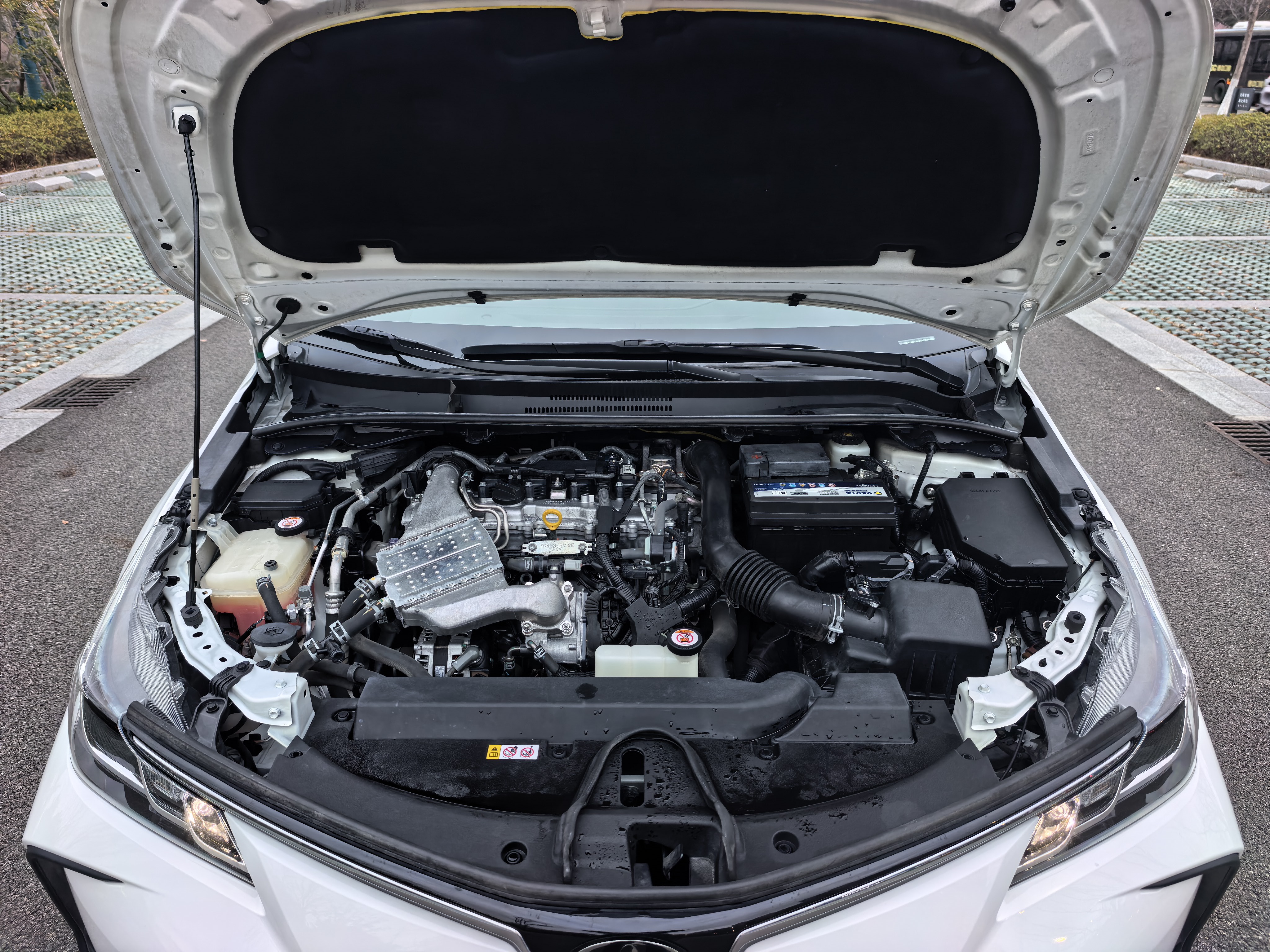 Toyota Corolla 2020 car image #20