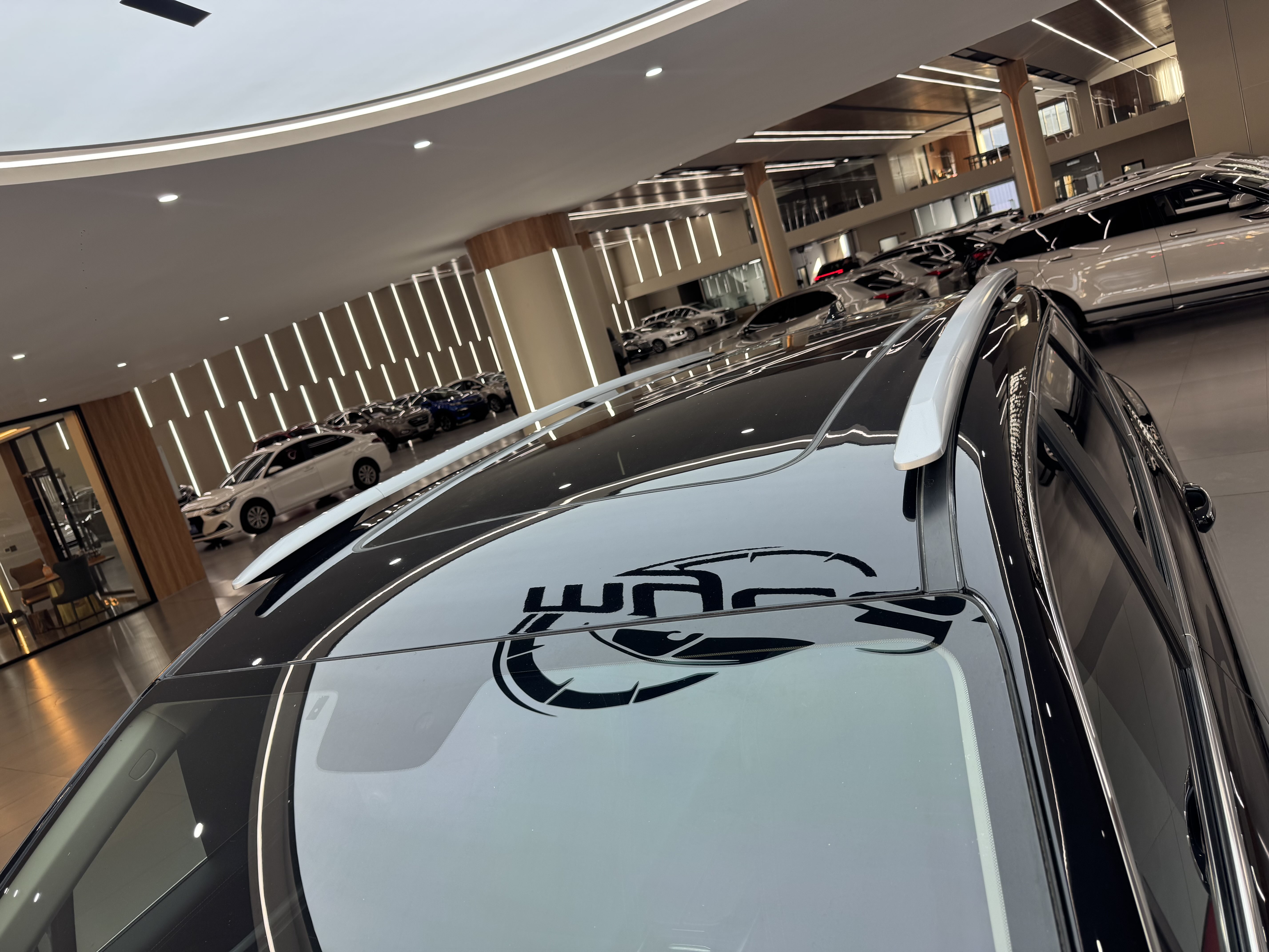 GEELY OkavangoR7 2020 car image #20